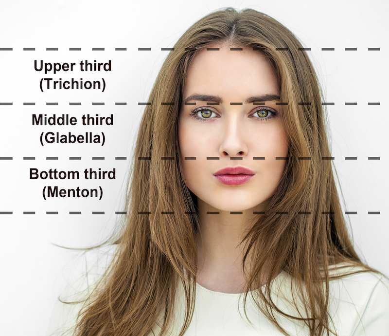 A diagram of different sections of the face